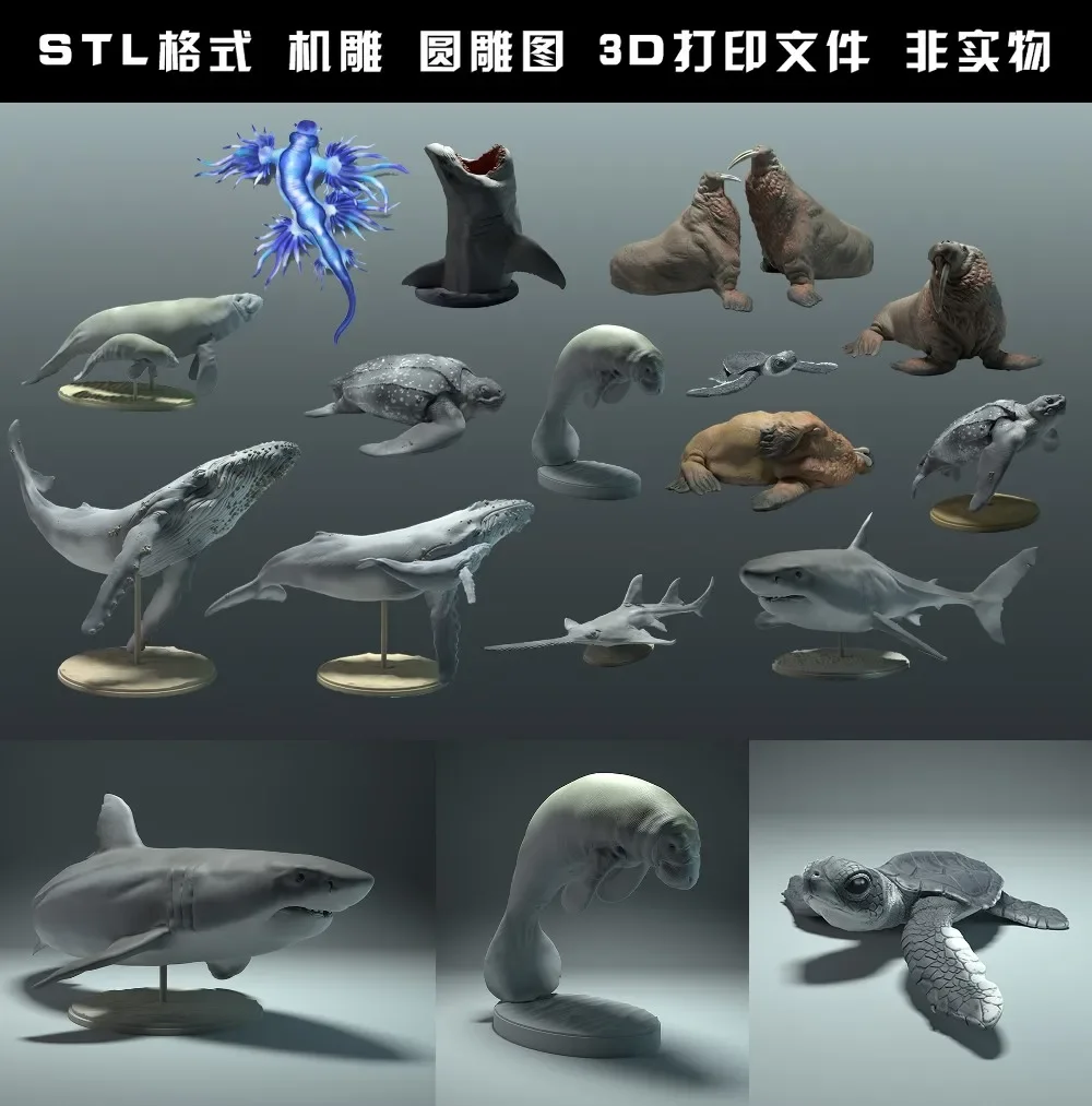 Tiere, Eisbär, Takin, Wolf, Bi – 3D Printing File Free Bewertung und Preis